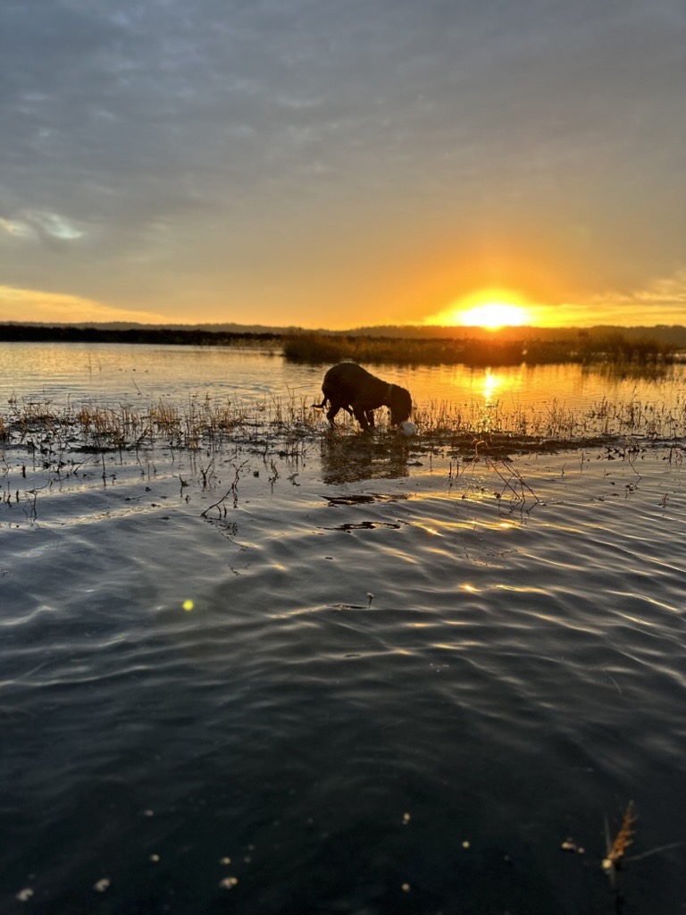 Duck Inn (4). Grand Pass Hunting Rental